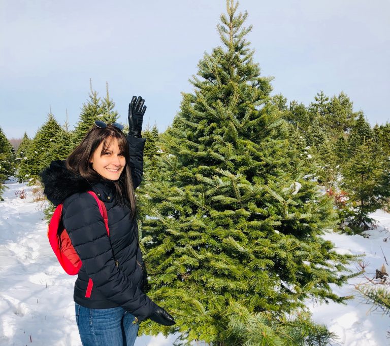 J&rsquo;ai testé : Couper son sapin de Noël proche de Montréal 🎄