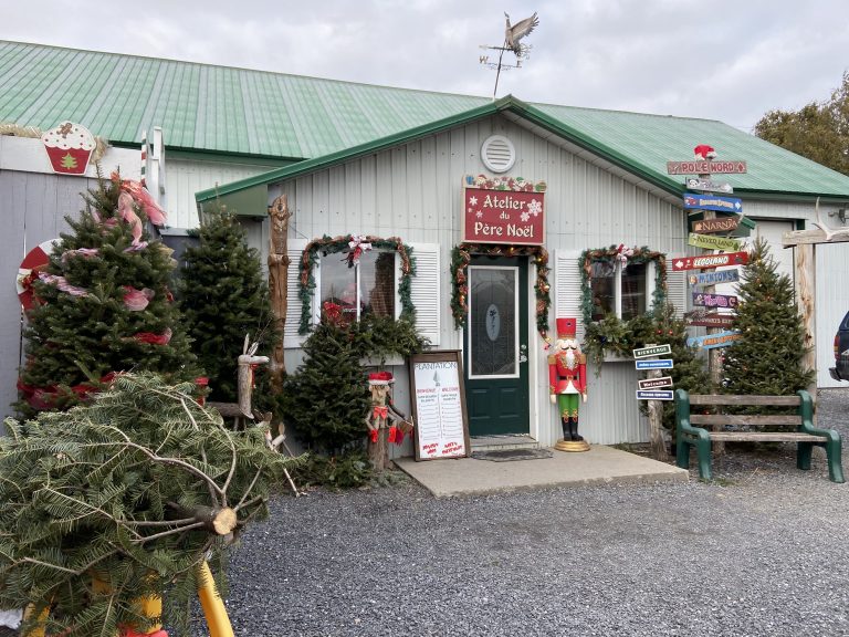 Où couper son sapin de Noël près de Montréal? Off to Montréal