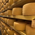 fromagerie nouvelle france cantons de l'est