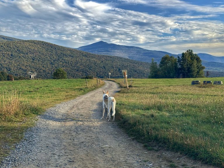 Avec son chien : Randonner sur les sentiers Au Diable Vert à Glenn Sutton.