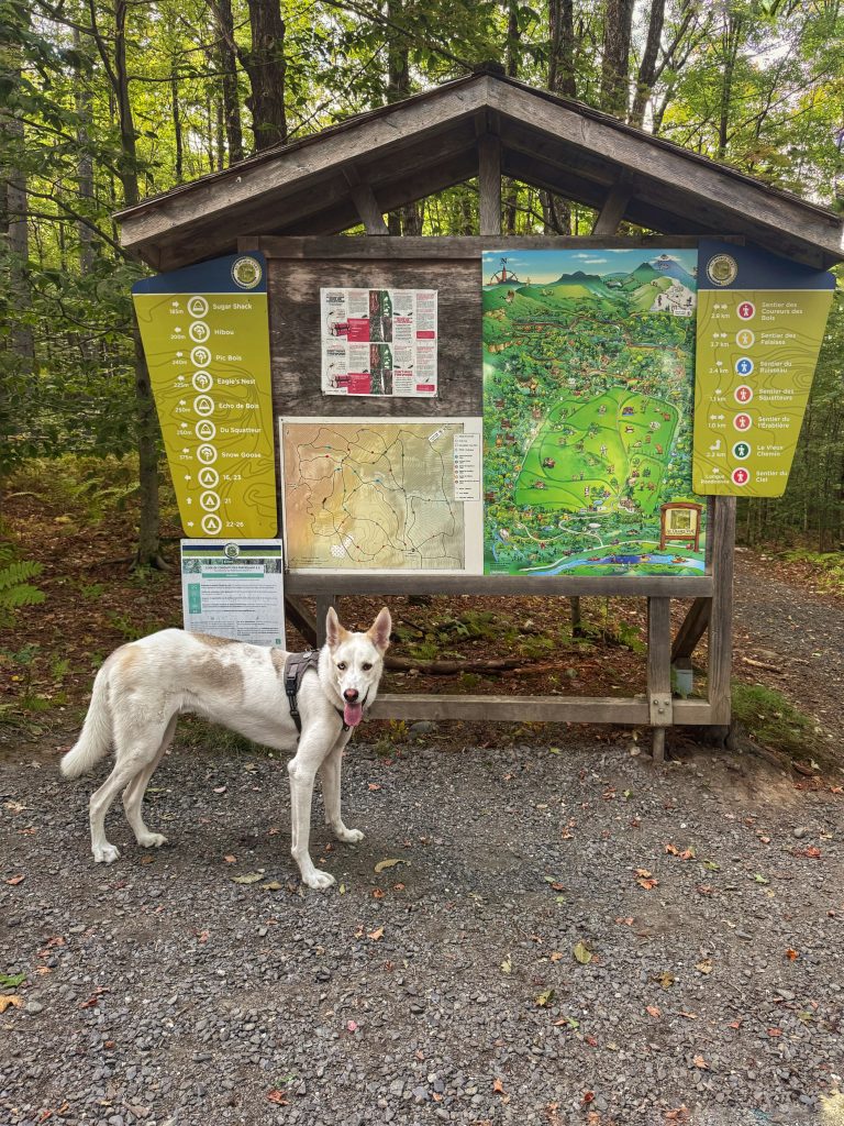 randonnée avec son chien au Diable Vert entrée des sentiers et panneau