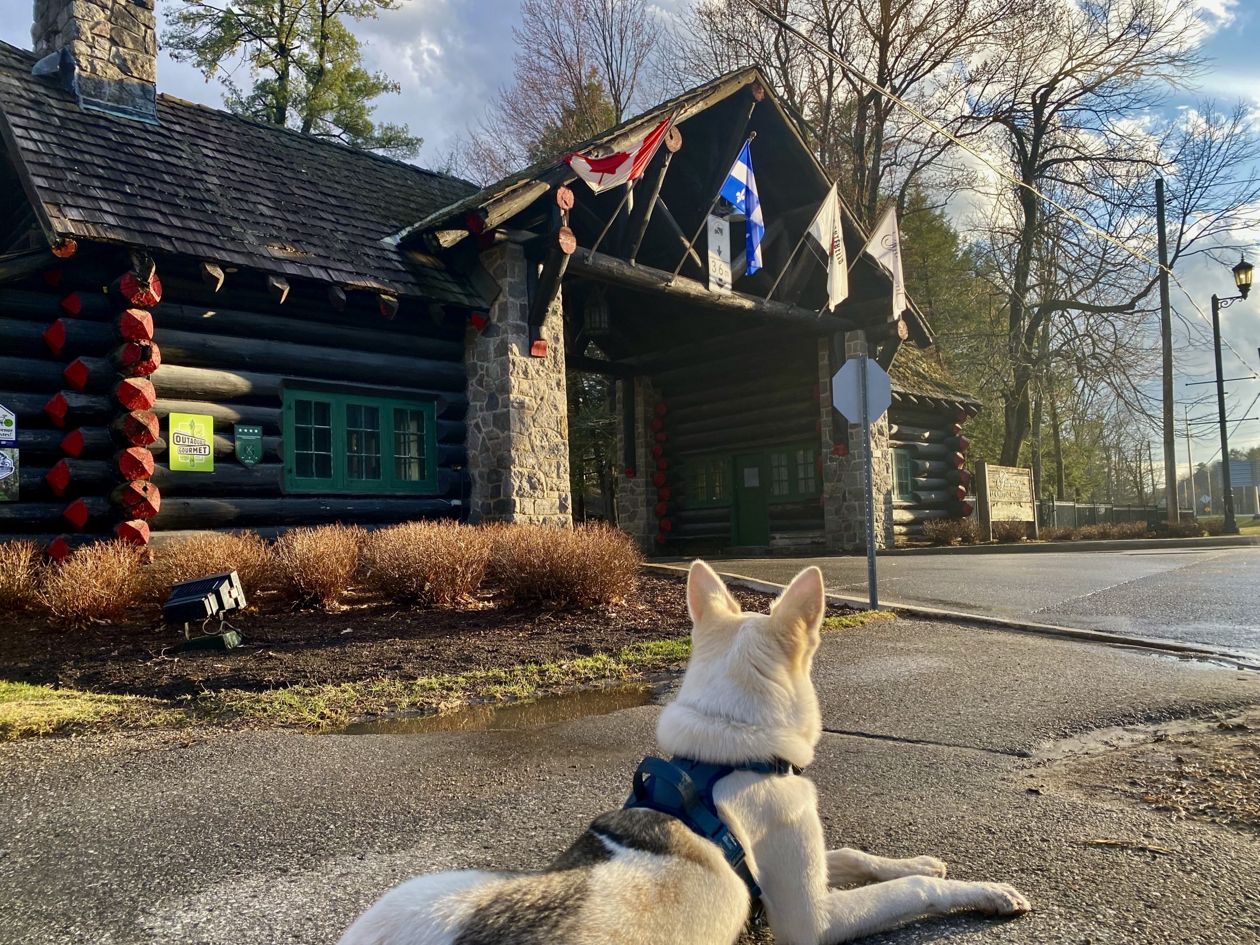 Avec son chien : Une nuit au Fairmont Le Château Montebello.